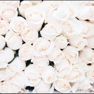 Meet your Posher, Cristi